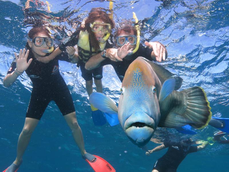 great-barrier-reef-adventure-with-great-adventures-3