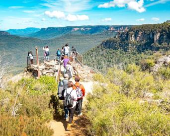 Blue Mountains Wildlife Tour with Bushwalks