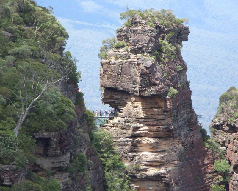 blue-mountains-wildlife-tour-with-bushwalks-4