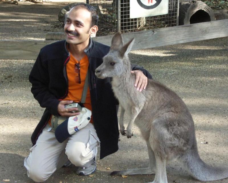 blue-mountains-wildlife-tour-with-bushwalks-6