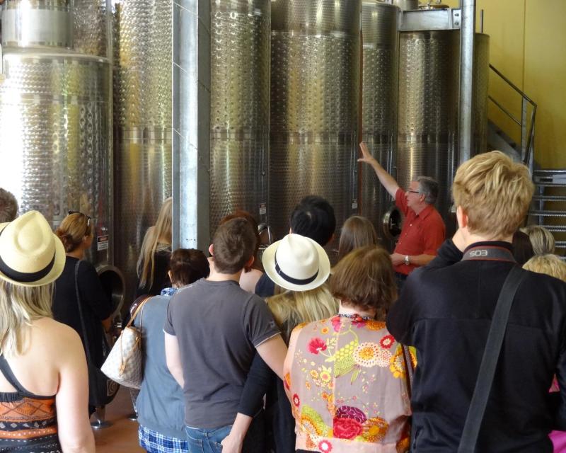 hunter-valley-wine-cheese-tasting-tours-3