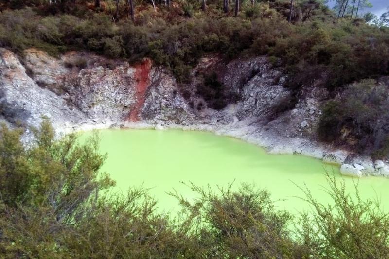 Hobbiton and Rotorua Day Tour: Geysers, Mud Pools, Maori Arts＆Crafts and Kiwi House丨Commentary to Hobbiton and Lunch Included