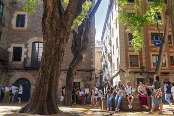 Barcelona Full Day: Panoramic and Montserrat