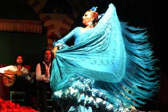 Flamenco Show in Granada
