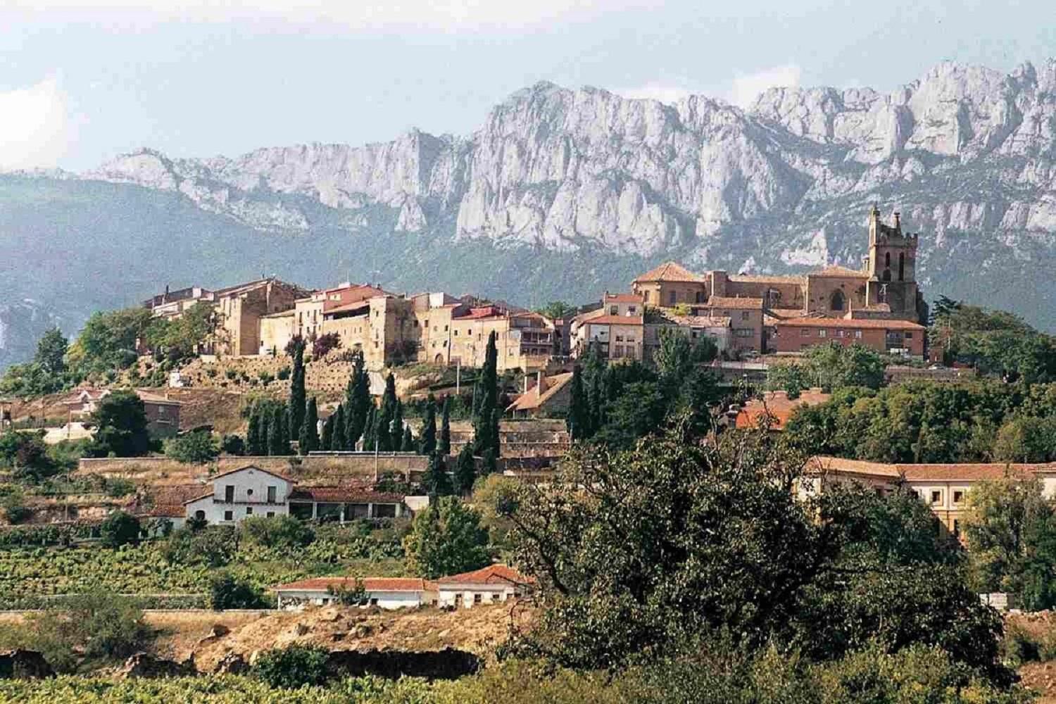 Vitoria och Rioja Alavesa dagsresa från Bilbao