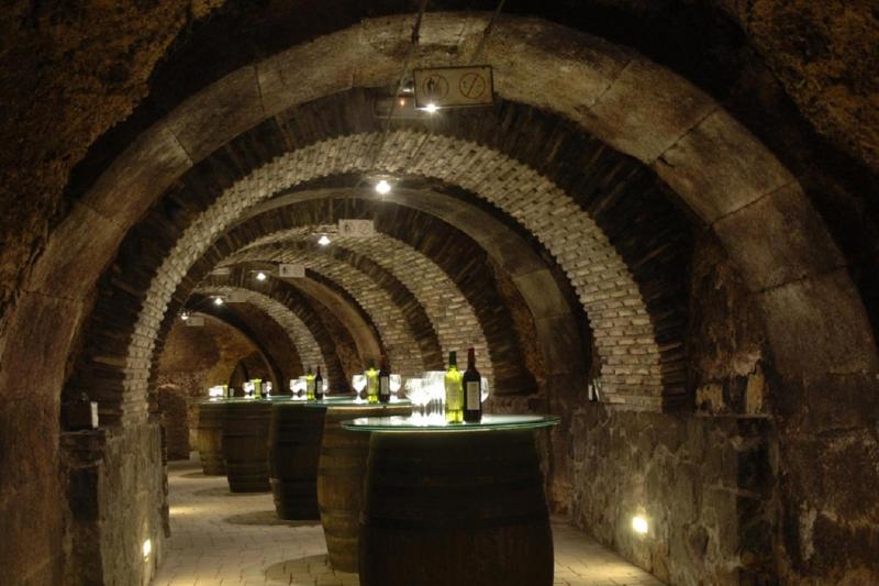 vitoria-rioja-wine-area-4