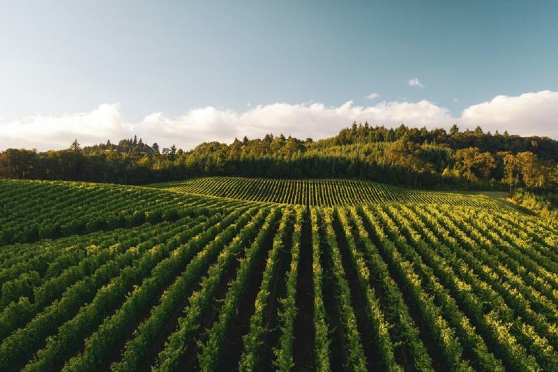 vitoria-rioja-wine-area-5