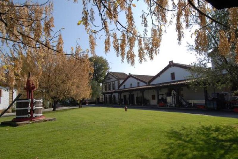 vitoria-rioja-wine-area-7