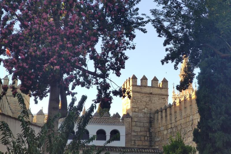 seville-monumental-cathedral-alcazar-8