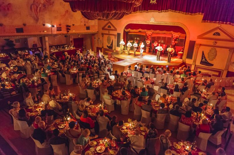 flamenco-night-in-seville-7
