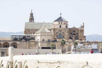 Cordoba & Carmona From Seville Full Day