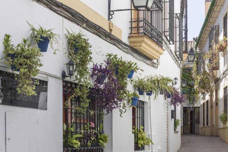 22-Day Portugal and Andalucia Tour from Madrid: Porto | Fatima | Lisbon | Cordoba | Seville | Costa del Sol | Granada**Daily Breakfast and Entrance Tickets Included**