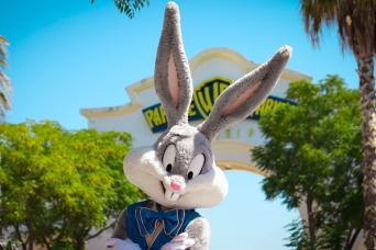 Parque Warner from Madrid Full Day trip