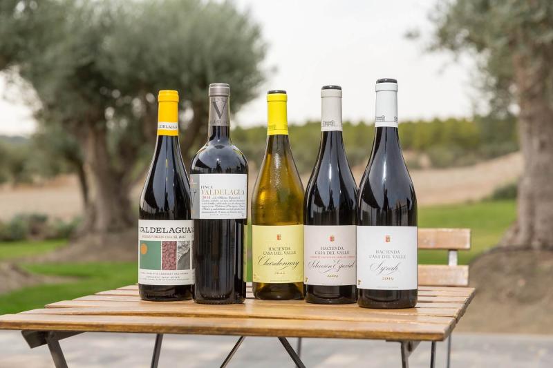 private-full-day-tour-to-toledo-with-wine-tasting-10