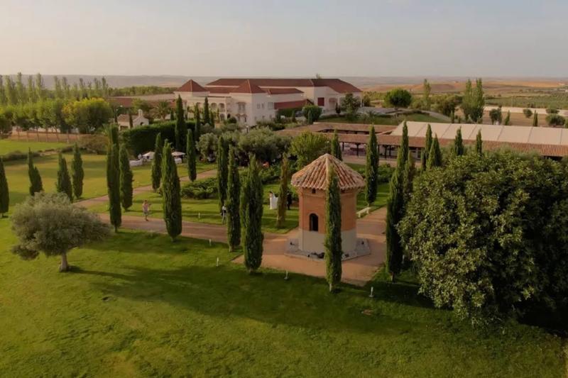 private-full-day-tour-to-toledo-with-wine-tasting-7