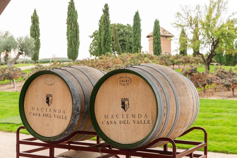 private-full-day-tour-to-toledo-with-wine-tasting-9