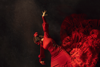 Flamenco Show ''El Duende by Tablao el Cordobés''