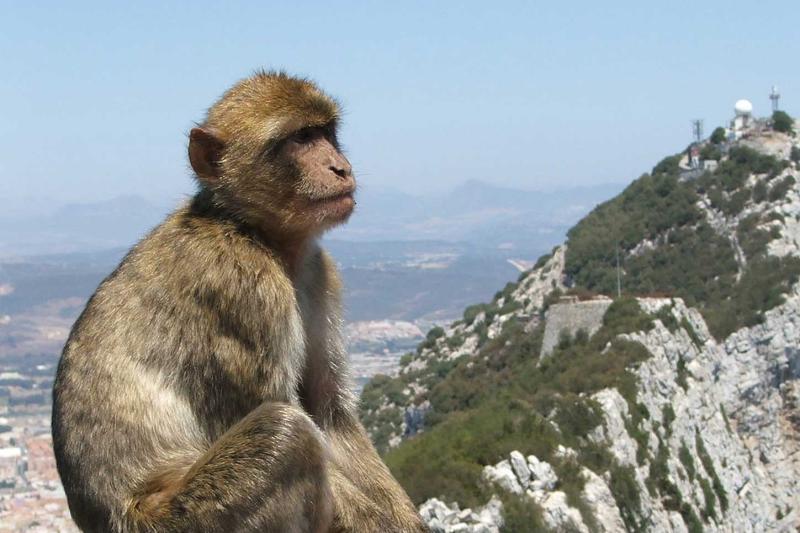 gibraltar-visit-from-seville-full-day-3