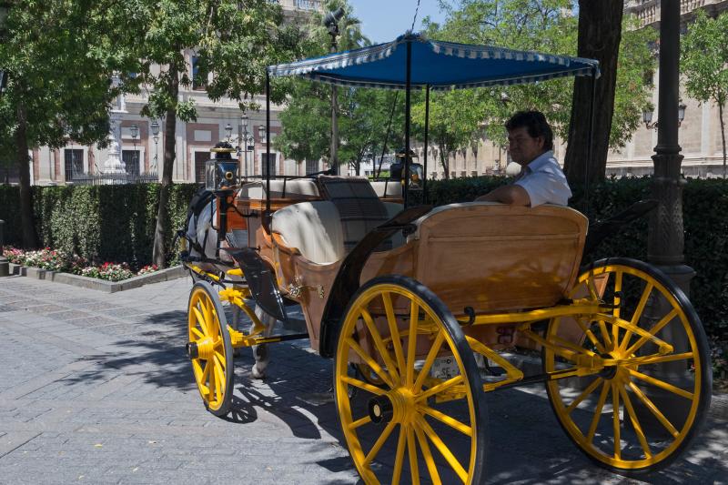 horse-drawn-carriage-ride-in-seville-5