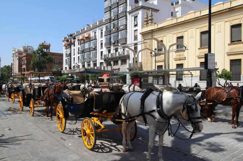 horse-drawn-carriage-ride-in-seville-6