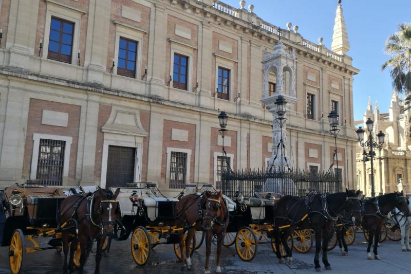 horse-drawn-carriage-ride-in-seville-7