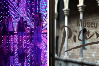 Museums Tour: Picasso and Moco