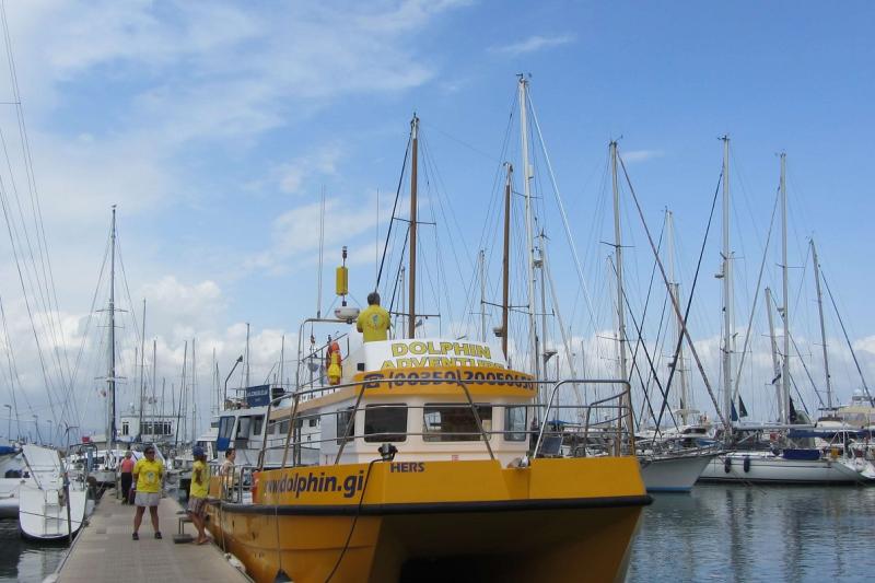 gibraltar-sightseeing-tour-with-dolphin-watch-3