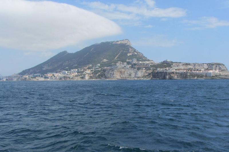 gibraltar-sightseeing-tour-with-dolphin-watch-8