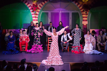 Visite à pied de Triana avec spectacle Flamenco