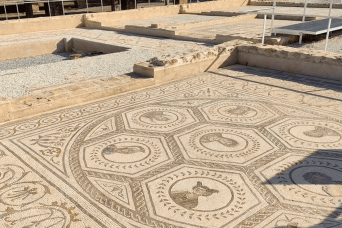 Visite guidée des ruines romaines d'Italica