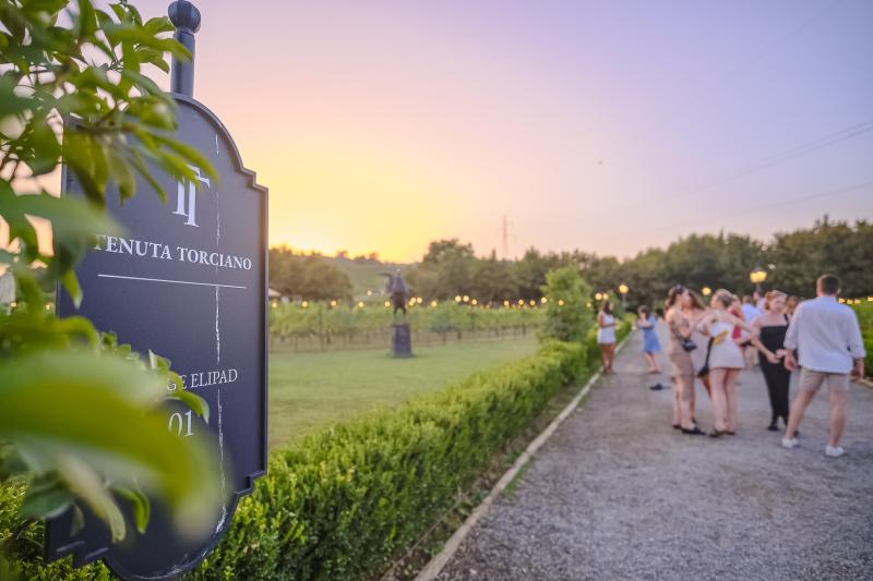 sunset-and-dinner-in-chianti-with-wine-tasting-2