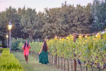 Semi-private Chianti Experience: Wine Tastings And