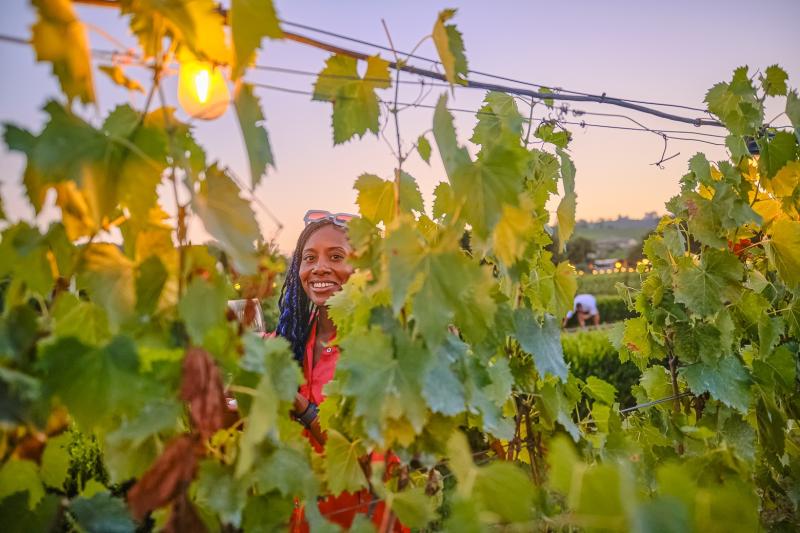 half-day-private-tour-to-chianti-3