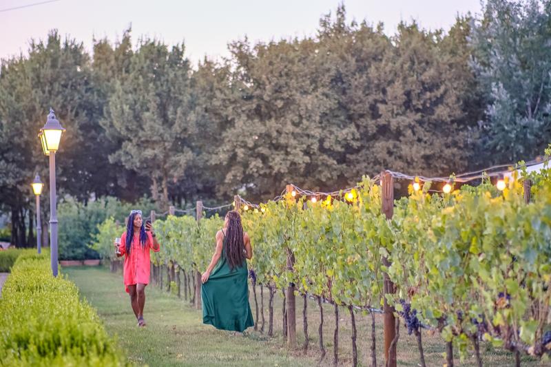 half-day-private-tour-to-chianti-5