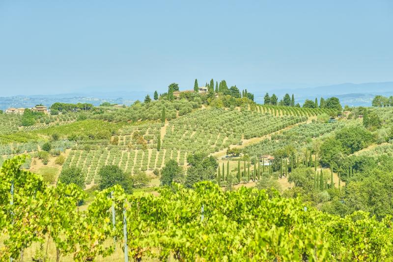 private-tour-of-siena-san-gimignano-chianti-2