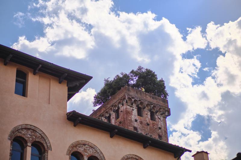 private-full-day-tour-to-pisa-and-lucca-6