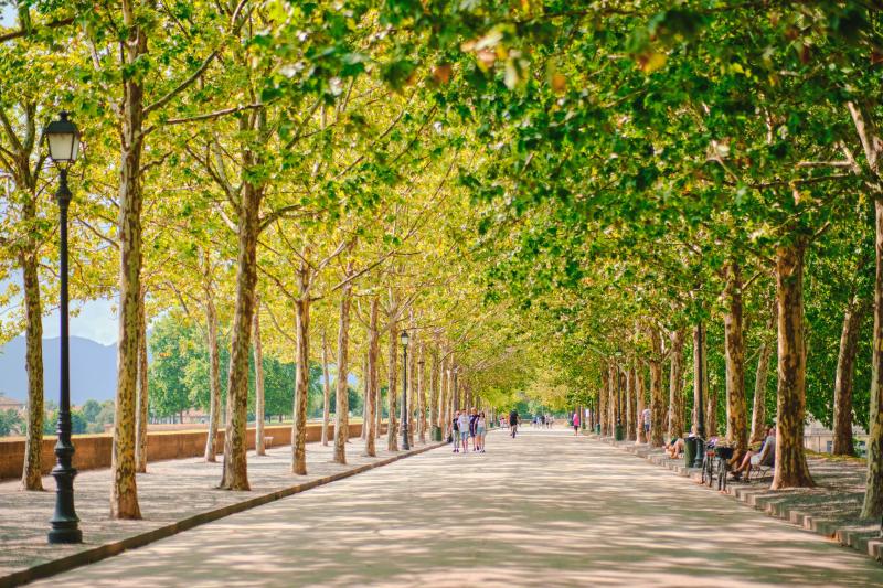 private-full-day-tour-to-pisa-and-lucca-7