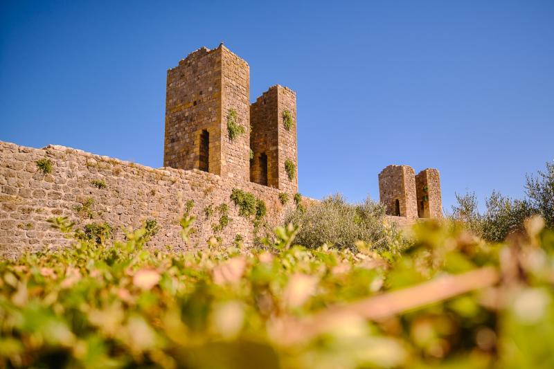 day-tour-from-florence-to-siena-san-gimignano-mo-5