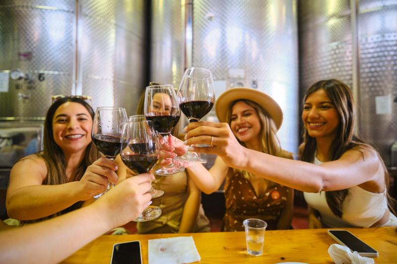 symphony-of-wines-a-premium-tasting-experience-in-1