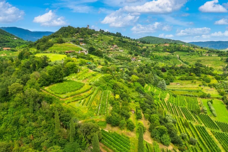 franciacorta-wine-region-lake-iseo-cruise-from-m-4