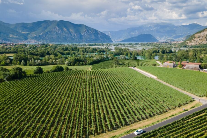 franciacorta-wine-region-lake-iseo-cruise-from-m-6