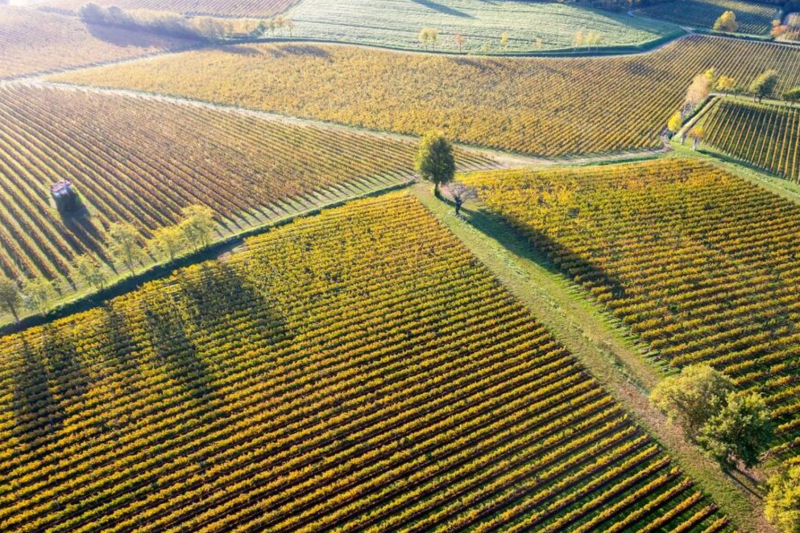 franciacorta-wine-region-lake-iseo-cruise-from-m-7