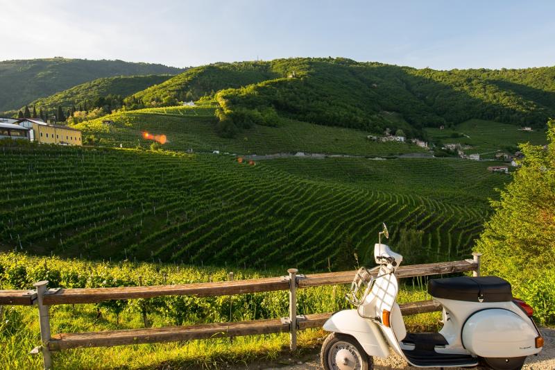 discover-the-chianti-hills-on-a-vespa-with-wine-tuscan-lunch-from-florence-small-group-tour-2