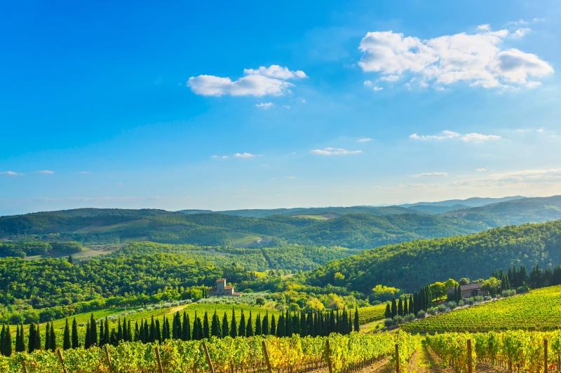 discover-the-chianti-hills-on-a-vespa-with-wine-tuscan-lunch-from-florence-small-group-tour-5