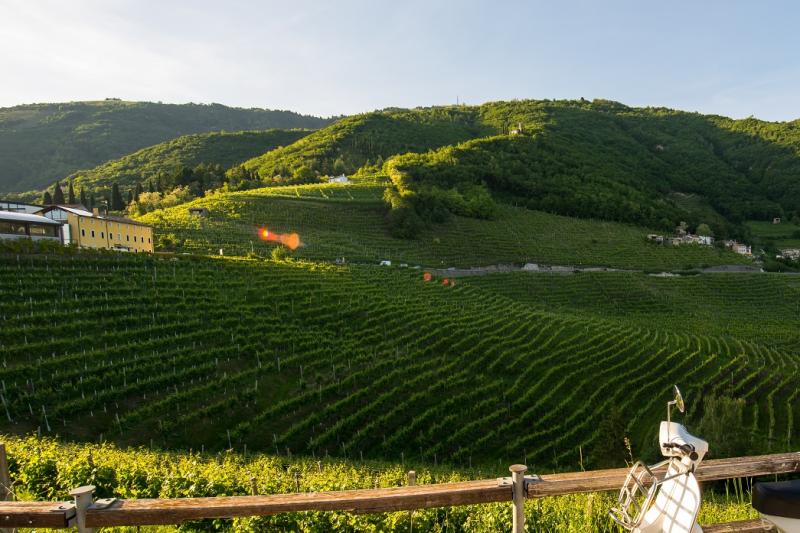 classic-style-vespa-tour-from-florence-to-fiesole-with-olive-oil-tasting-experience-3