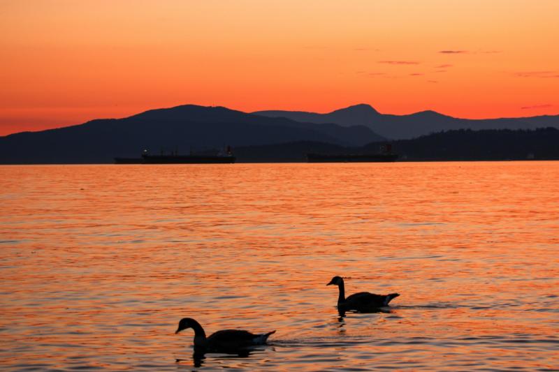 hop-on-hop-off-24hours-5