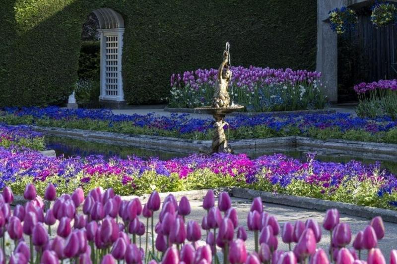 victoria-butchart-gardens-5