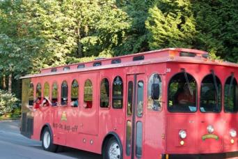 Hop on Hop off - 48Hours