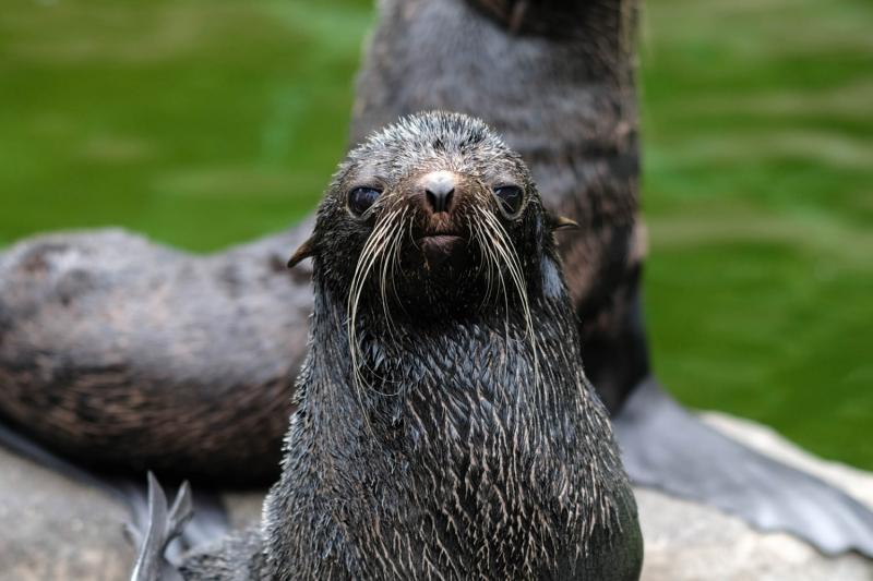 hop-on-hop-off-48hours-5