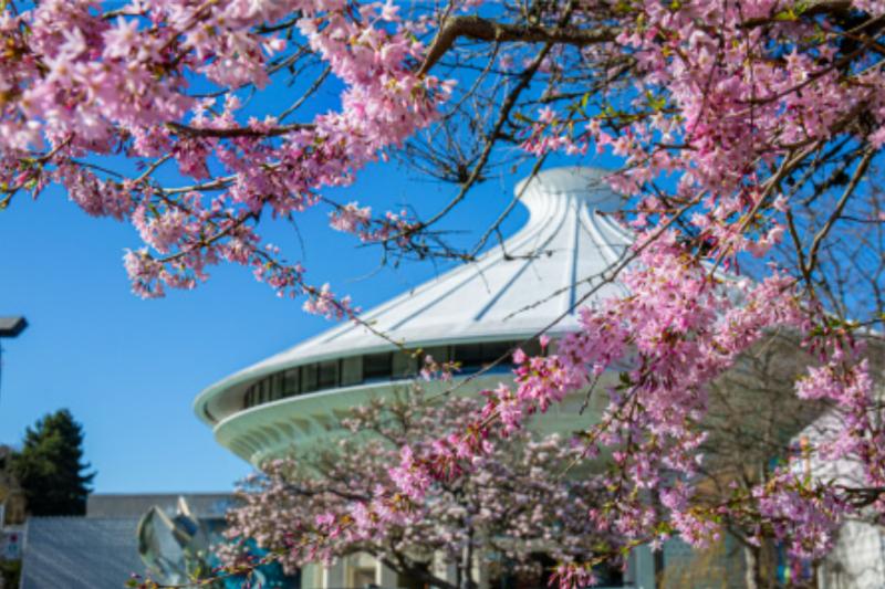 hop-on-hop-off-48hours-6